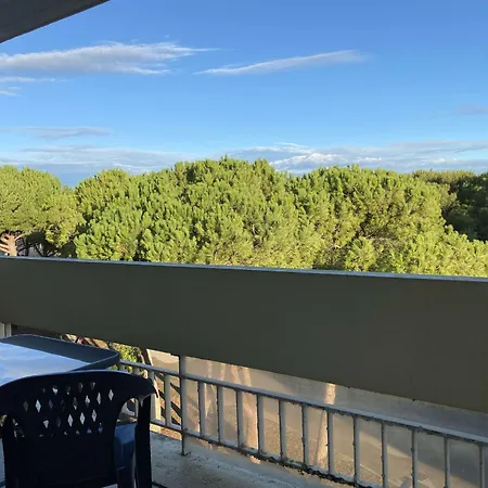 Confort T3 Avec Garage Et Climatisation A - Fr-1-553-288 Balaruc-les-Bains